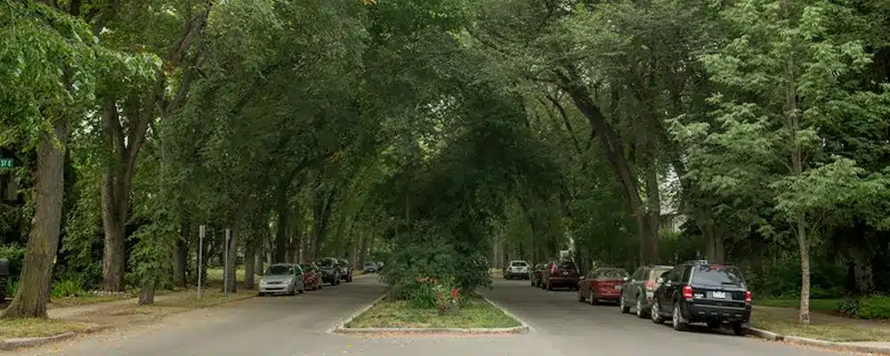 Nutana neighbourhood in Saskatoon - Pro Service Mechanical HVAC services